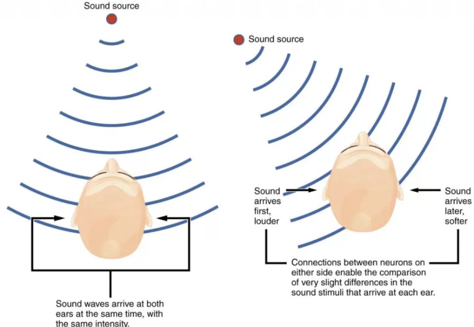 Benefits of Binaural Hearing